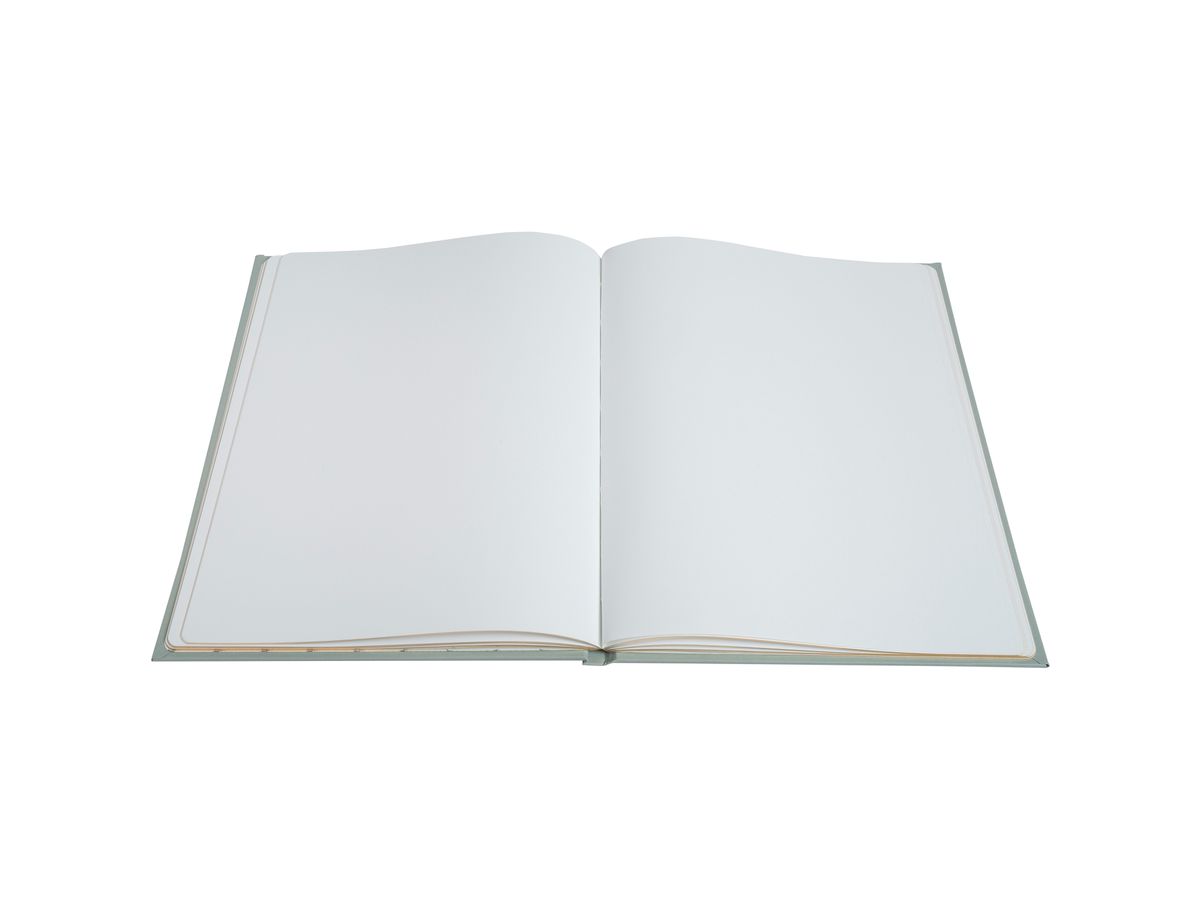 EXACOMPTA Gästebuch Ellipse 27x22cm 47982E grün 100 Seiten (3130630479826)