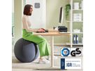 LEITZ Sitzball Ergo Active 65cm 6542-00-89 grau (4002432134779)