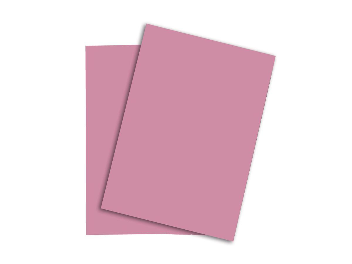 PAPYRUS Rainbow Papier FSC A4 88043107 120g, rosa 250 Blatt (7318761043406)