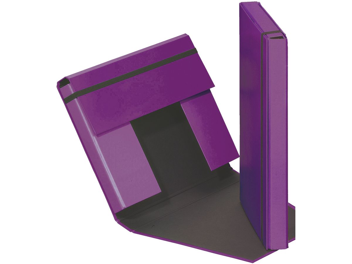 PAGNA Dossier compart Trend A4 21308-12 élastique lila (4009212009142)
