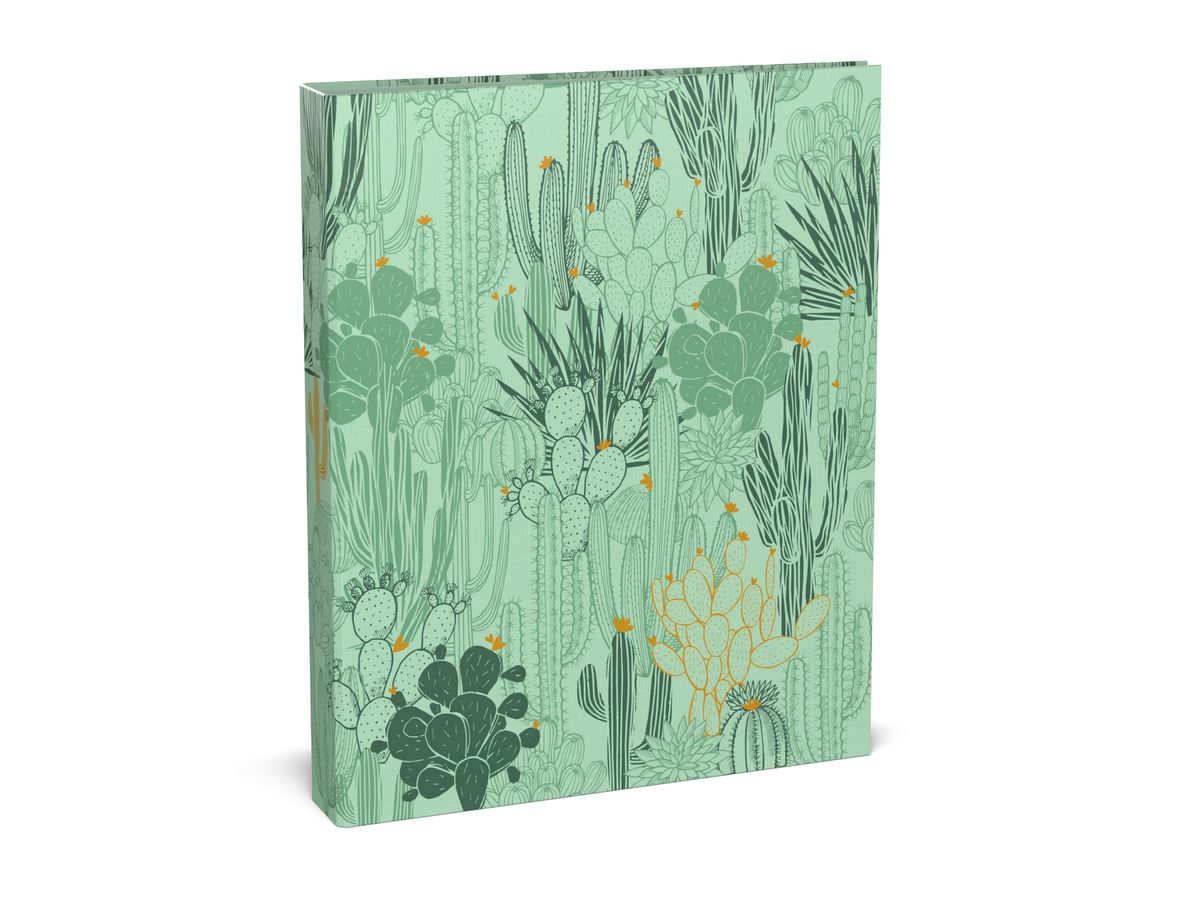 ROOST Class. Ann. Midnight Gold 529053 Arizona, 2 Ringe A4 (5410574529053)