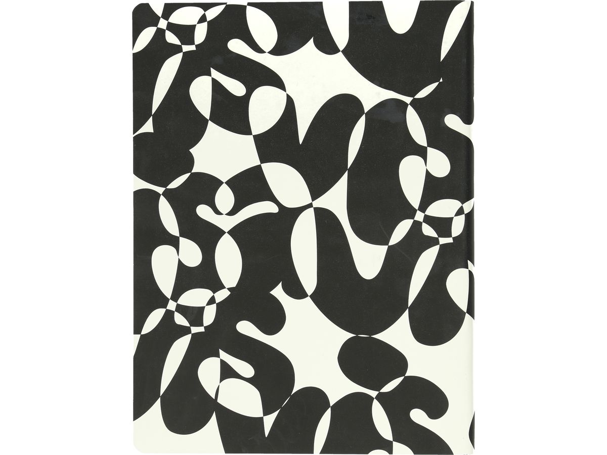 NUUNA Cahier de notes Graphic L 56314 VIS-A-VIS 256 pages (4260358556314)