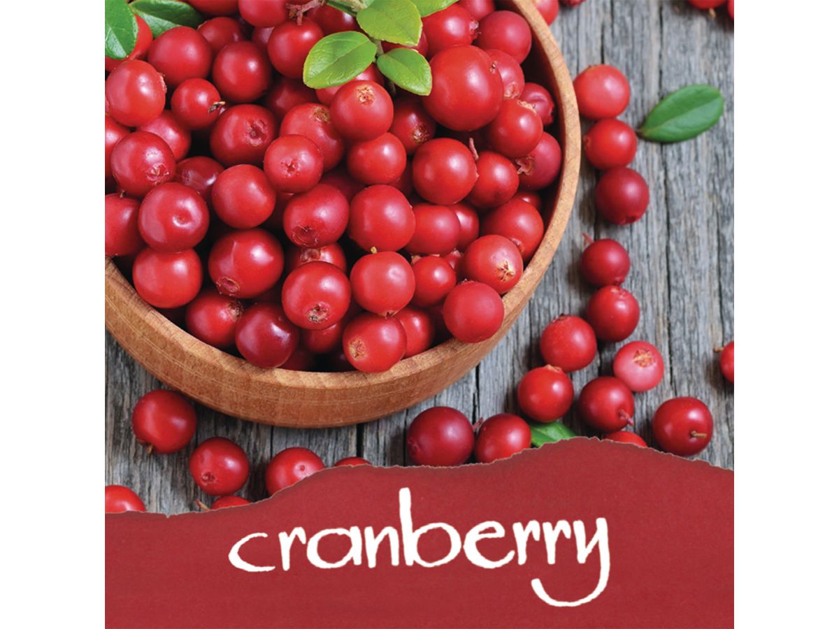 ONLINE Tintenglas 15ml 17066/3 Dufttinte Cranberry - Red (4014421170668)