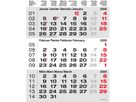 CALENDARIA 3-Monats-Wandkalender 2026 9783036205526 grau 31x40cm (9783036205526)