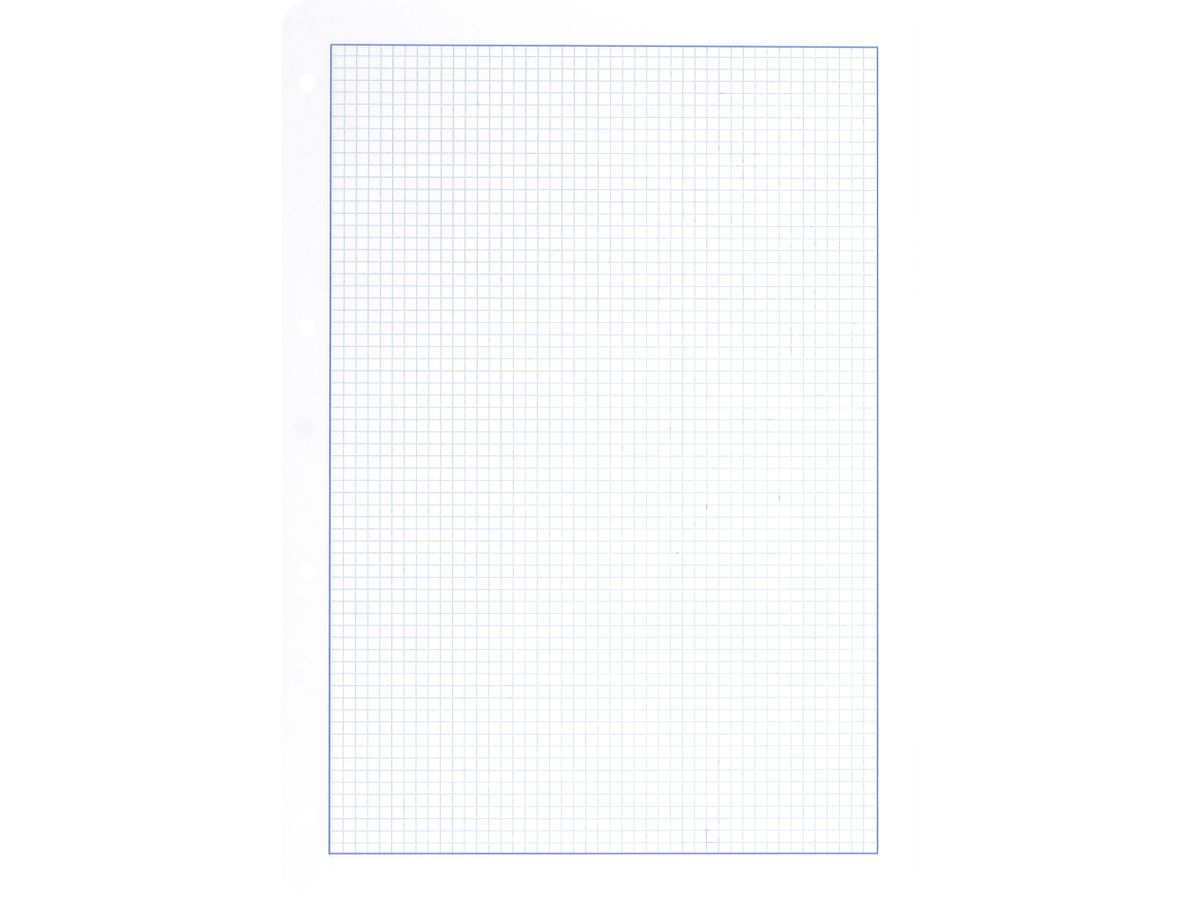 NOVOOO Inserto p. class. Anello A4 729794 4mm a scacchi,100g 100 fogli (9010729087047)