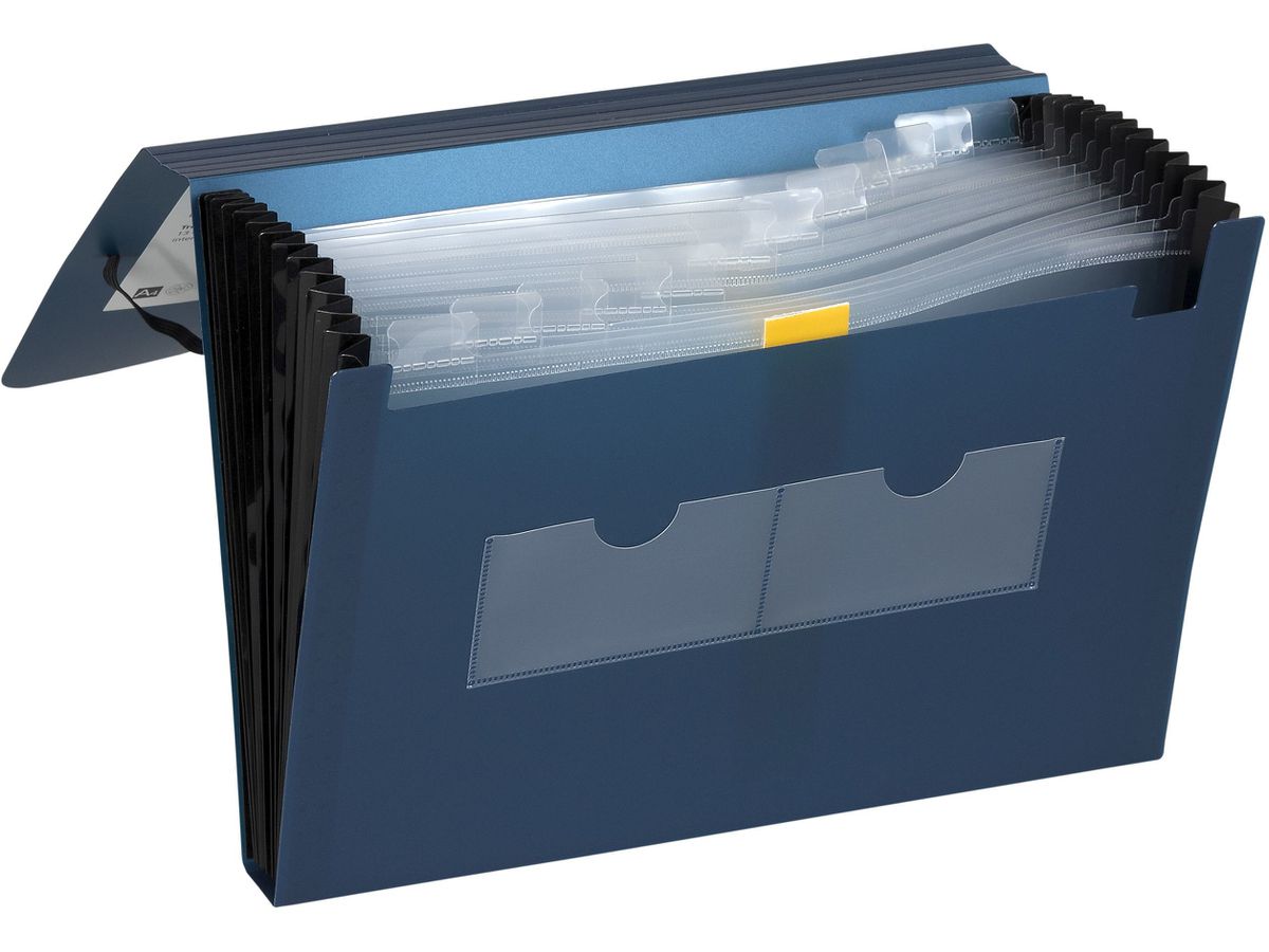 DUFCO Expanding File A4 13 Fächer blau metallic 13 Fächer (7610259036786)