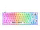 DELTACO TKL Gaming Keyboard mech GAM-160-T-CH transparent RGB CH-Layout (7333048064042)