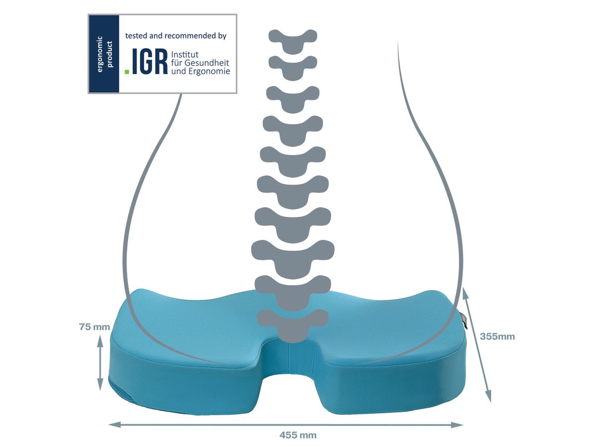 LEITZ Cuscino di seduta Cosy 5284-00-61 blu 1 pezzo (4002432129560)