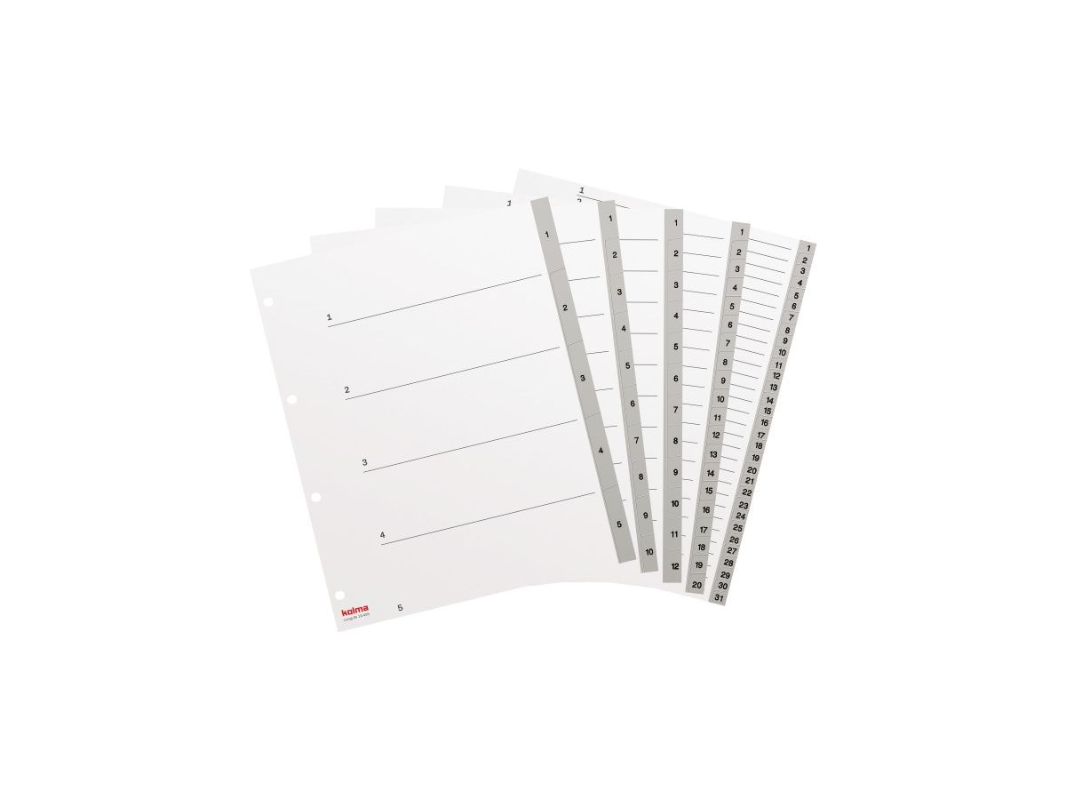 KOLMA Registro LongLife A4+ 19.410.03 grigio 1-10 (7611967190173)