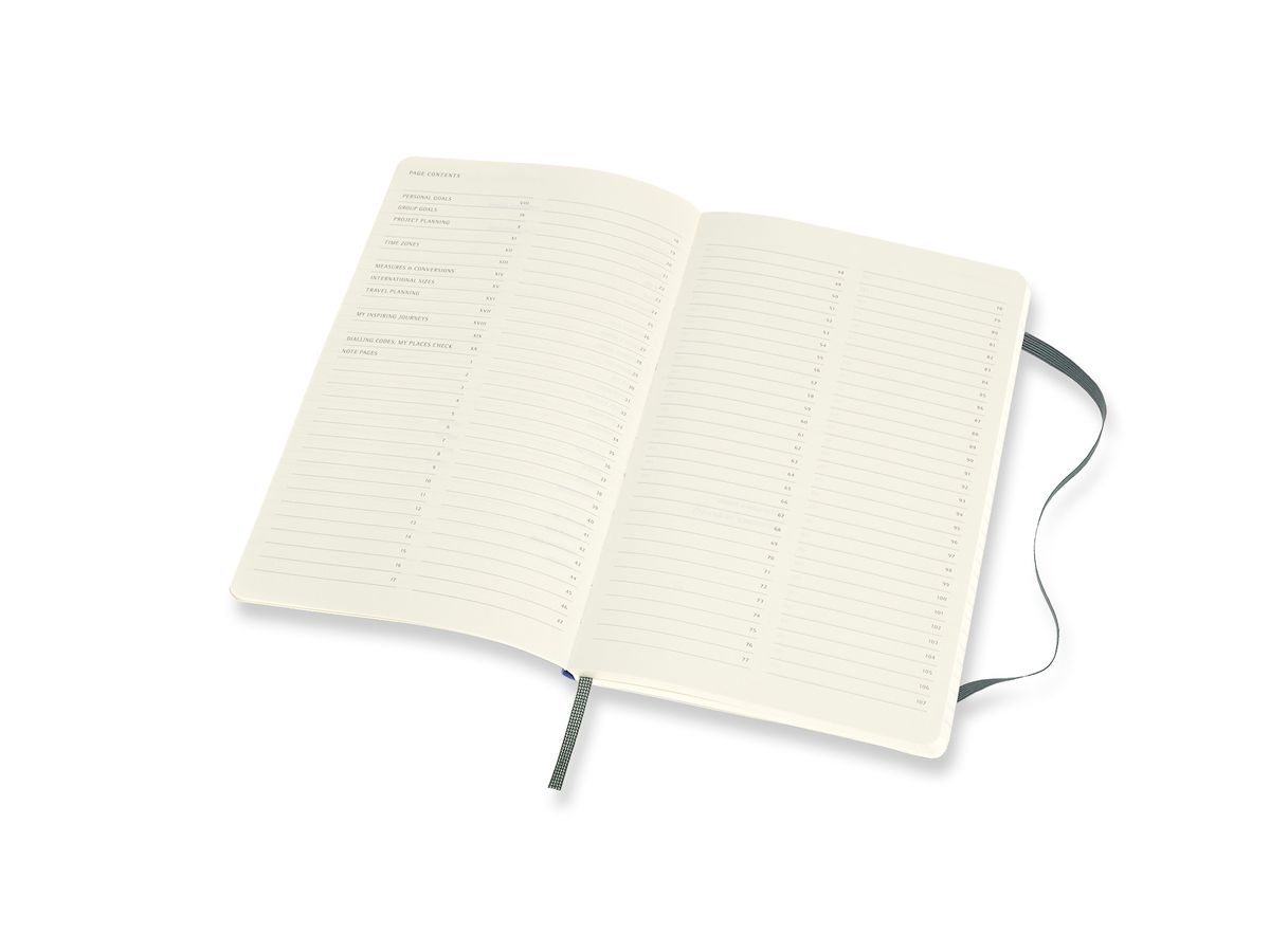 MOLESKINE Carnet 21x13cm 620794 vert, 192 pages (8058647620794)