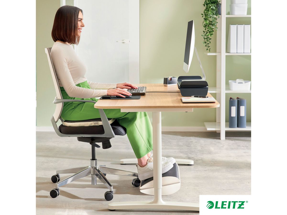 LEITZ Ergo Fussstütze 65030085 grau 508x135x300mm (4002432134809)