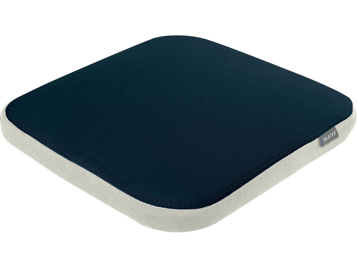 LEITZ Sitzkissen Ergo Active 6540-00-89 samtgrau mit Stoffbezug (4002432134731)