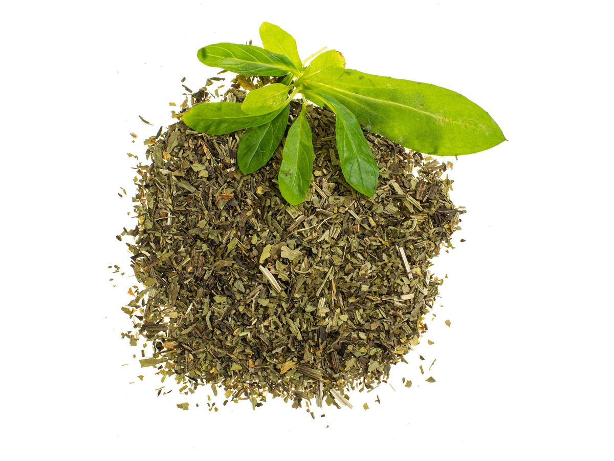 GLOREX Spitzwegerich 4g 61601106 grün (7610877588704)