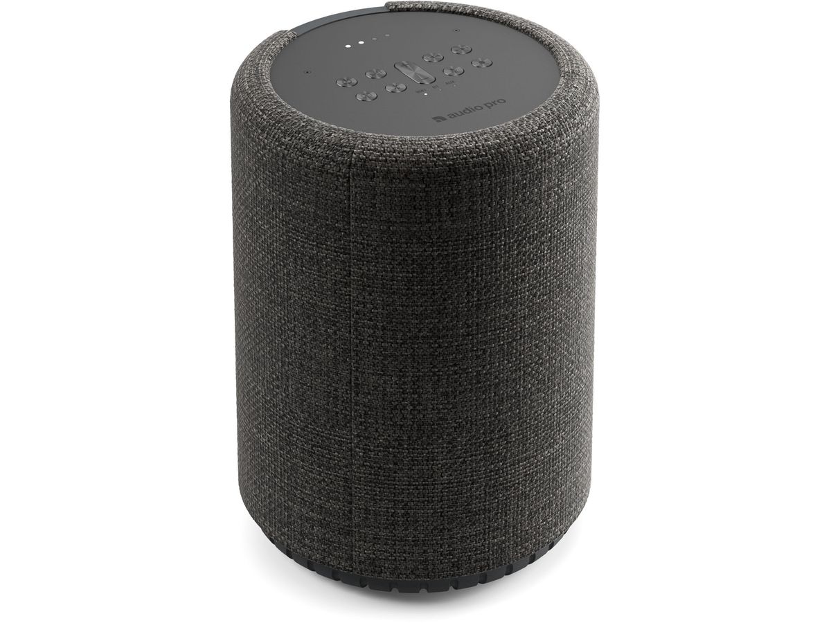 AUDIO PRO G10 14620 dark grey (7330117146203)