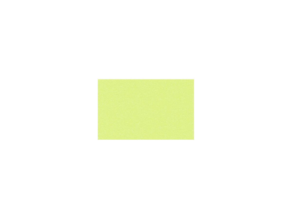 URSUS Carton photo A4 3764650 300g, pomme vert 100 flls. (7612532055156)