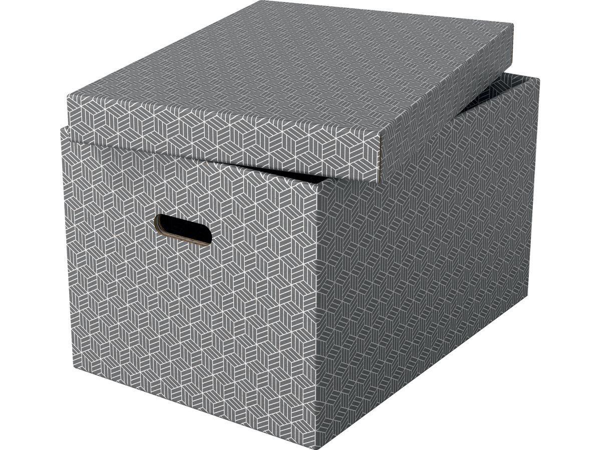 ESSELTE Vaschetta potadoc. Home L 628287 510x355x305mm, grigio 3 pz (4049793072326)