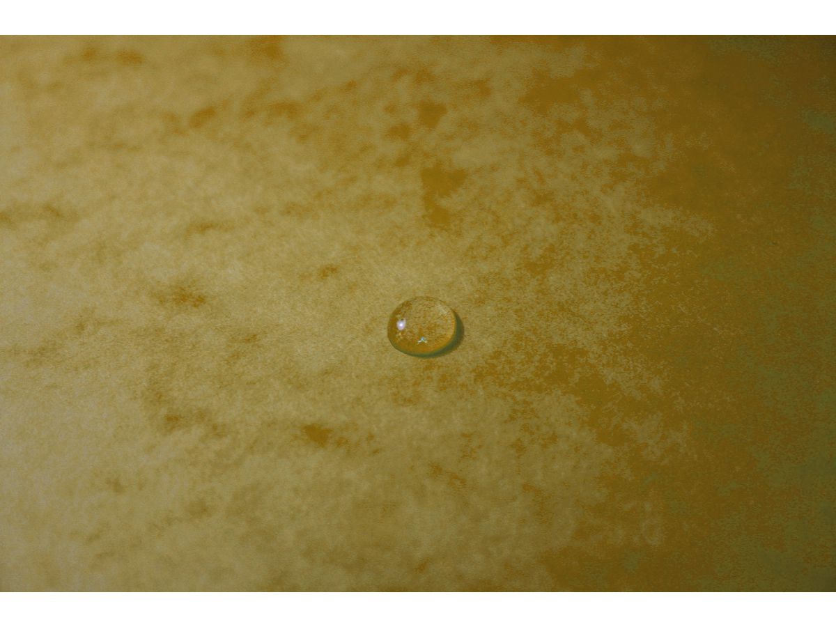 EXACOMPTA Dossier à élastiques A4+ 55309E jaune manila (3130630553090)