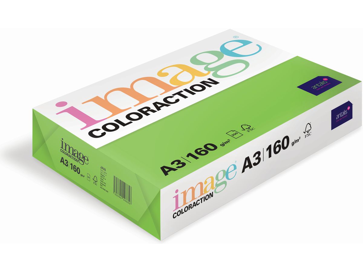 IMAGE COLORACTION Carta per copie Java A3 285160 160g, verde 250 fogli (7611115004499)