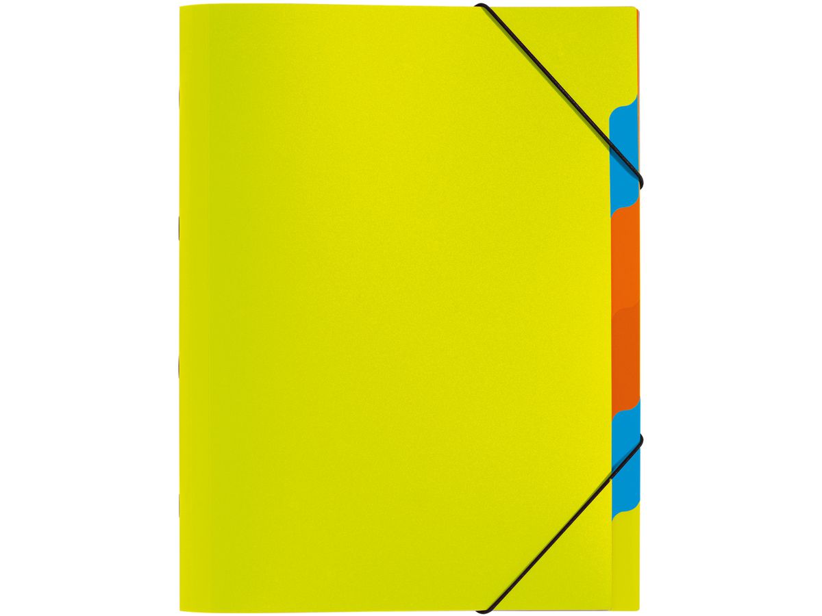 PAGNA Ordnungsmappe A4 41803-17 grün 5-teilig (4009212041807)