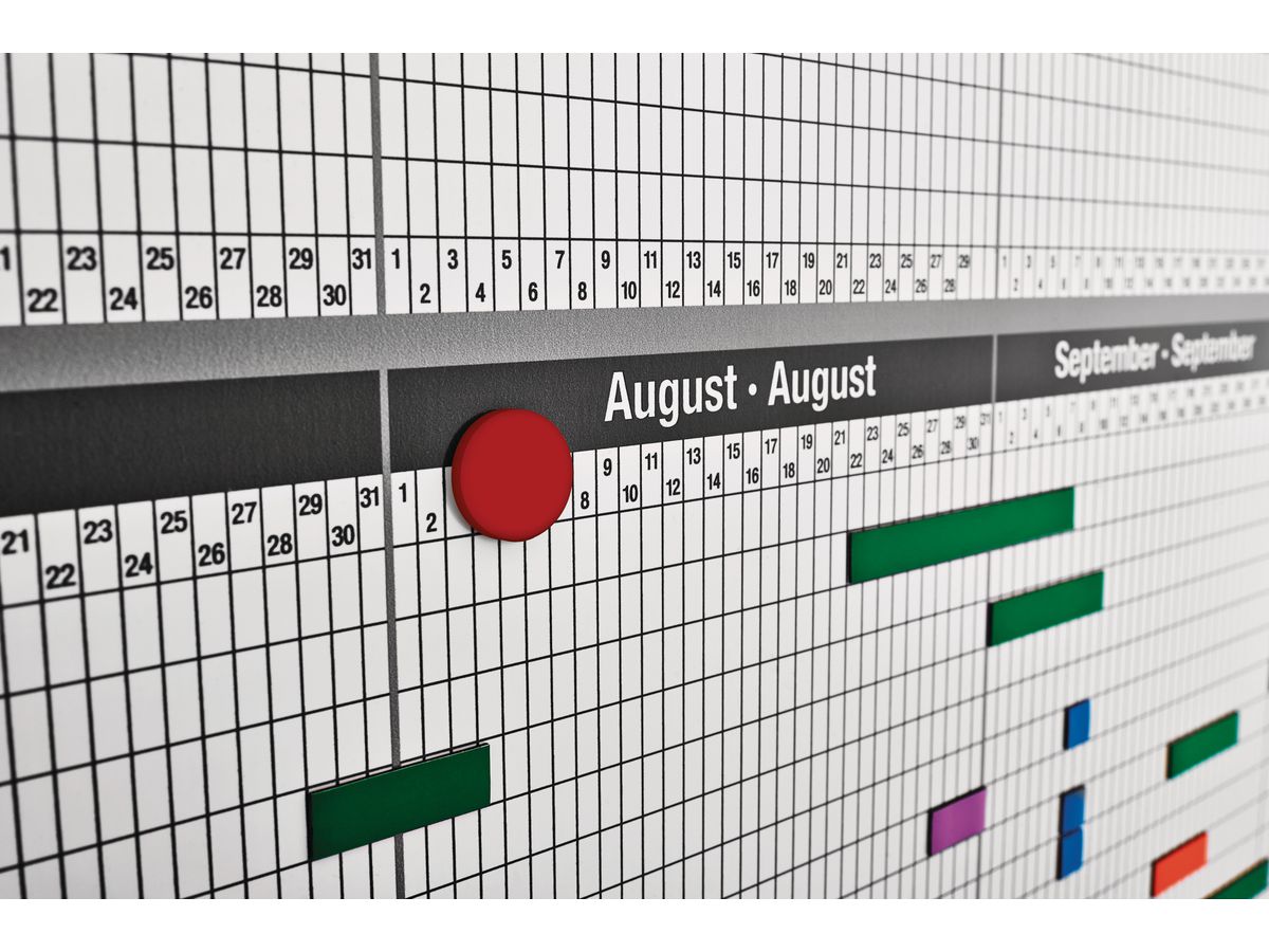 MAGNETOPLAN Planer p. Personale/Progetto 1241212S 12 mese, 35 Pos. 1215x915mm (4013695045412)