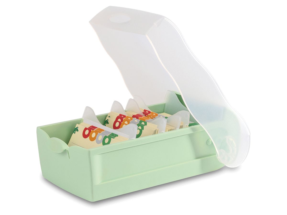 HAN Karteibox Croco A8 998-805 pastellgrün 9.7x6.7x19.1cm (4012473121331)