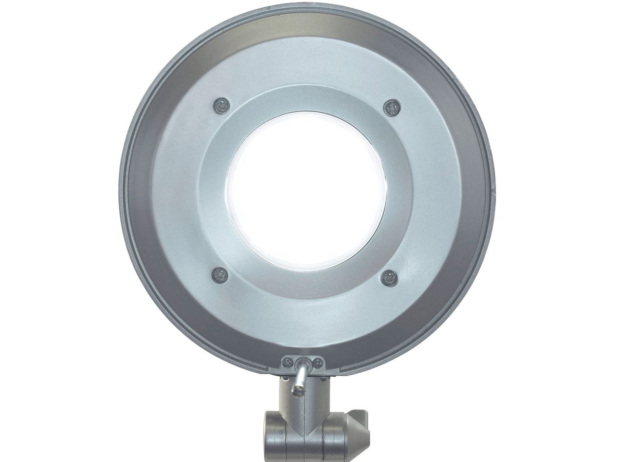 MAUL Lampada LED MAULbusiness 43.00 d (4002390061537)