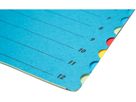 BIELLA Fächermappe A4 32841205U blau 12-teilig (7611365342402)