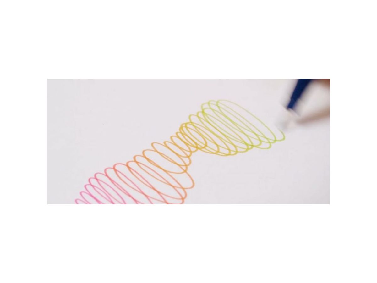 CHAMELEON Fineliner Set 0.3mm FL0602 6 colori Nature (0812751023074)