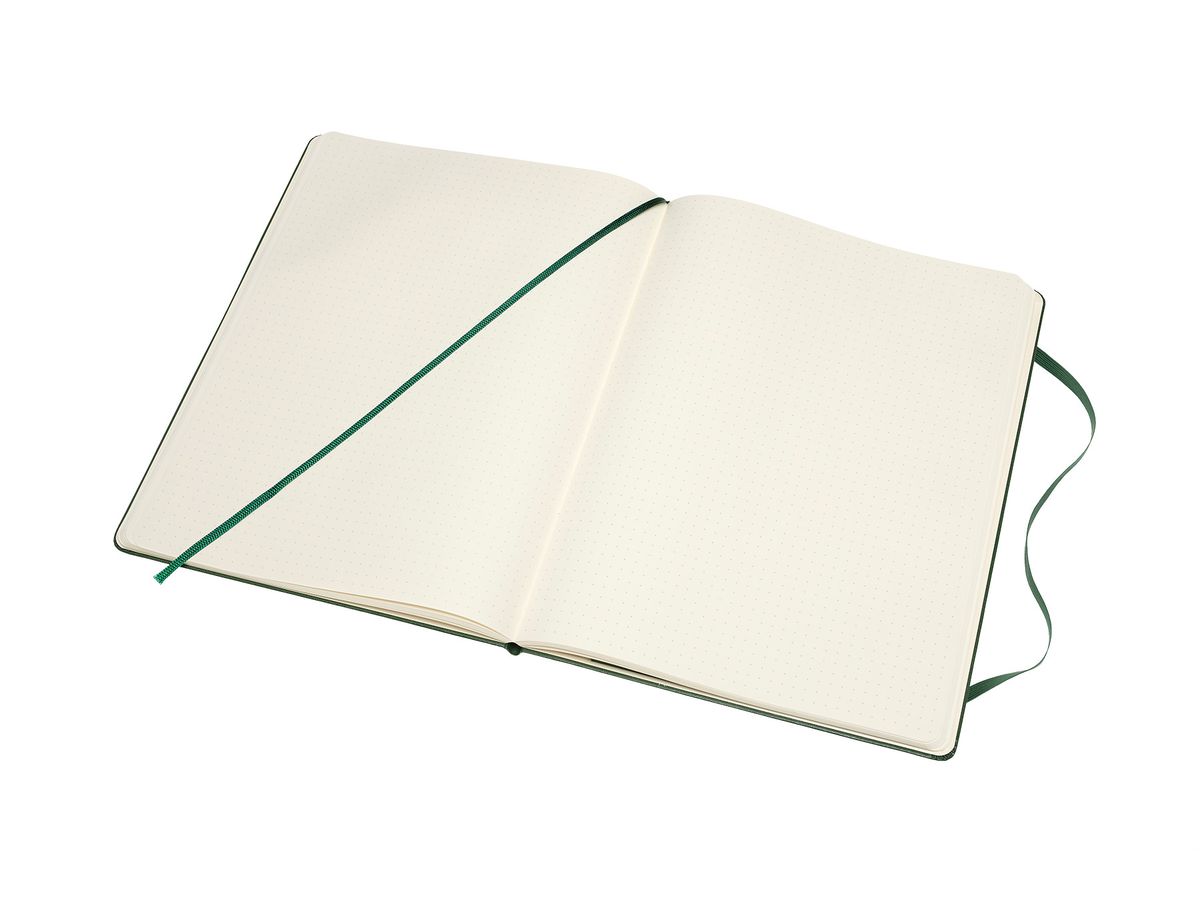 MOLESKINE Taccuino XL HC 25x19cm 629131 punti, verde, 192 pagine (8058647629131)