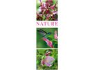 ACKERMANN Bildkalender 2026 2656 Nature ML 33x100cm (9783838426563)