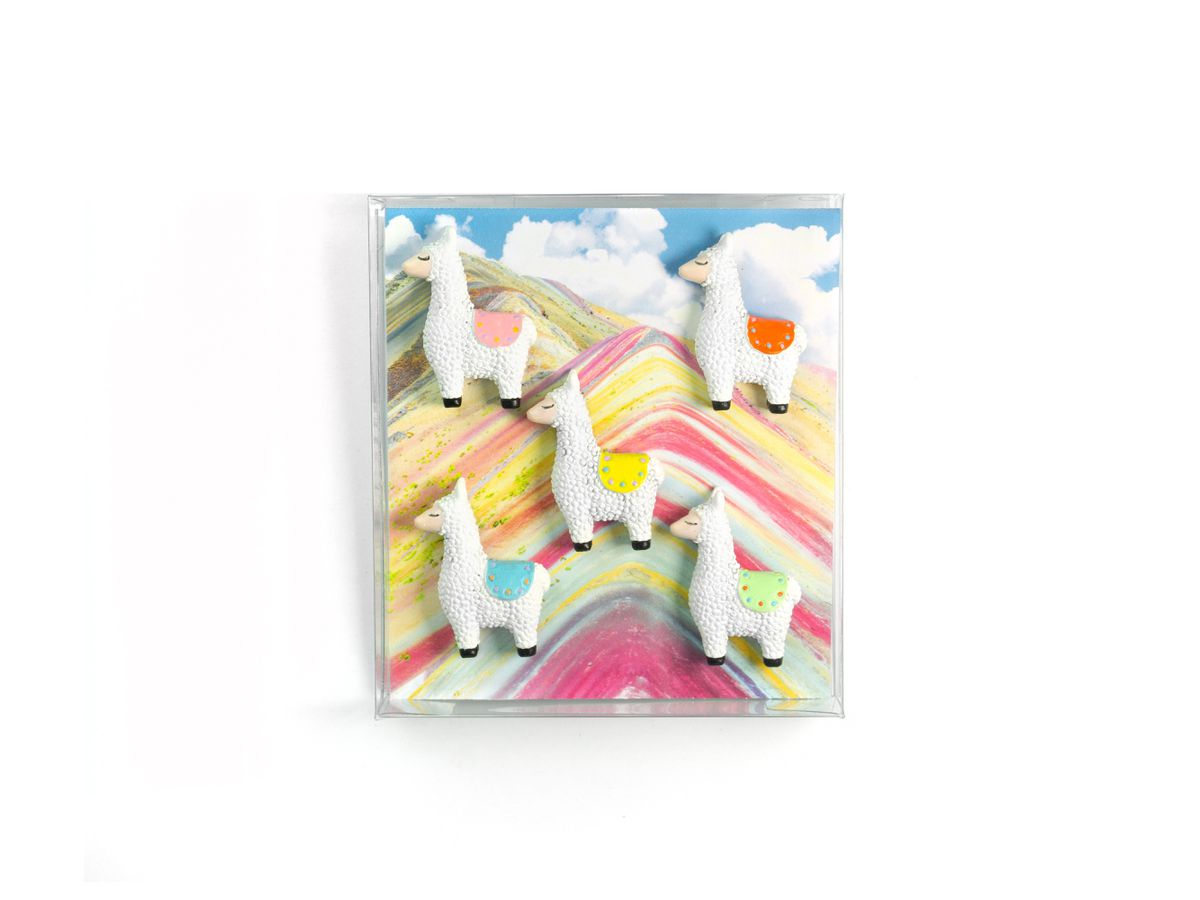 TRENDFORM Magnete LLAMA FA4584 5er Set assortiert (7640169366765)