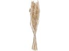 EGLO Fiori secchi CARAQUET 45cm 428071 beige (9008606266791)