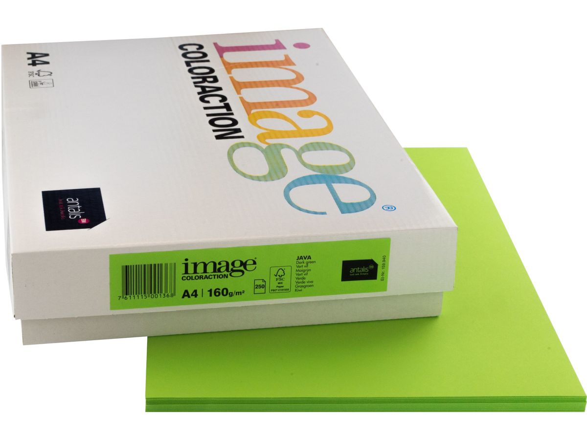 IMAGE COLORACTION Kopierpapier Java A4 266767 maigrün, 160g 250 Blatt (7611115001368)