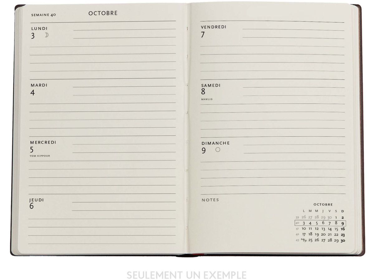 PAPERBLANKS Agenda Astérix Mini 25/26 DF0862-1 1S/2P 13M FR HOR HC 9.5x14cm (9780349708621)