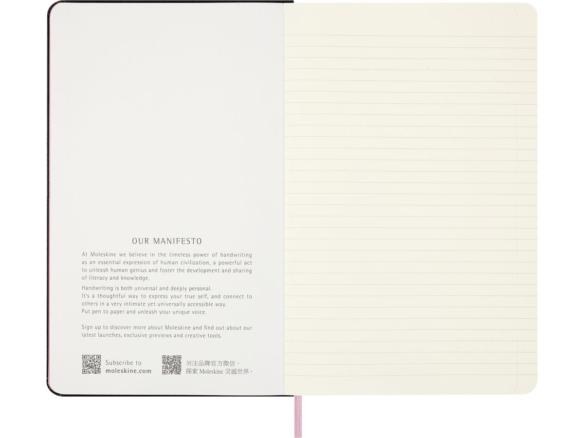MOLESKINE Notizbuch Blackpink L/A5 711513164 liniert schwarz (8056711513164)