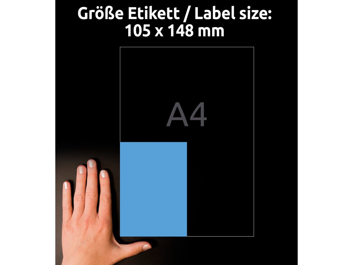 AVERY ZWECKFORM Etichette 105x148mm 3457 Universal, blu 10fogl./4pz (4004182034576)