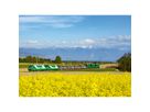 CALENDARIA Bildkalender 2026 9783036205199 Eisenbahnen ML 31.5x23cm (9783036205199)