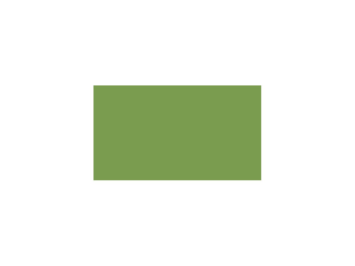 PAPYRUS Carta per disegno a colori A4 88020070 130g, maggio verde 100 fogli (7612285118160)