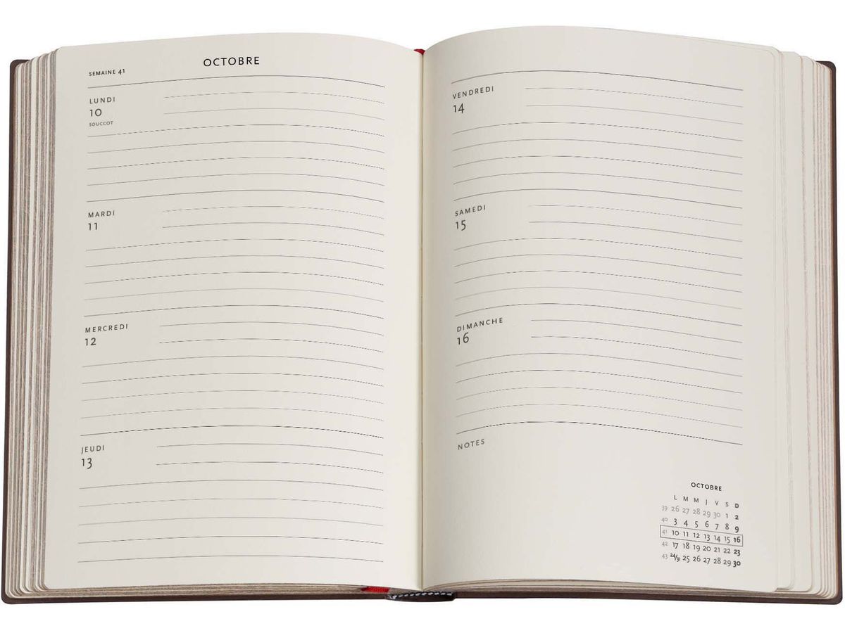 PAPERBLANKS Agenda Danse du Vent 2026 FF1081-5 1S/2P HOR Midi SC FR 13x18cm (9780349710815)