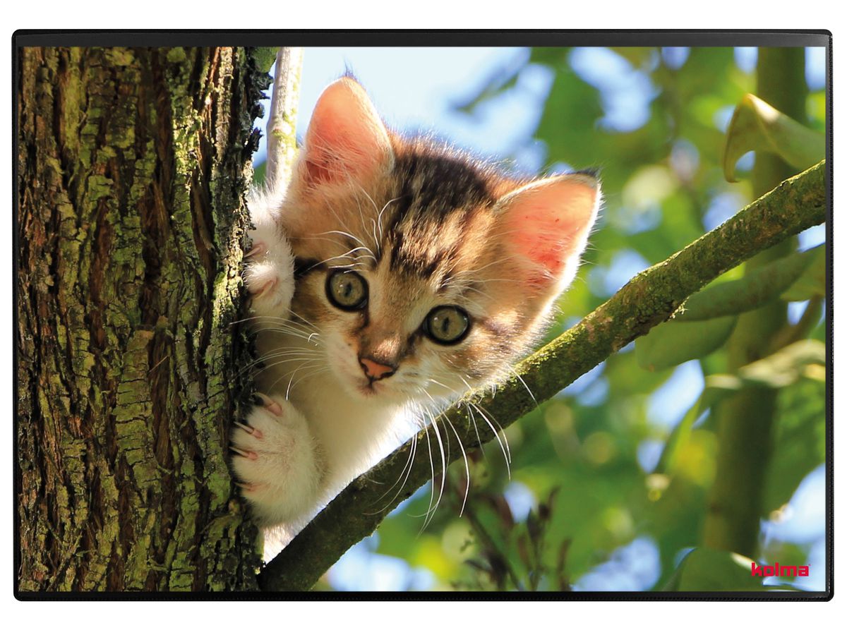 KOLMA Schreibunterlage 35.554.20 Katzenkinder 50x34cm (7611967350461)