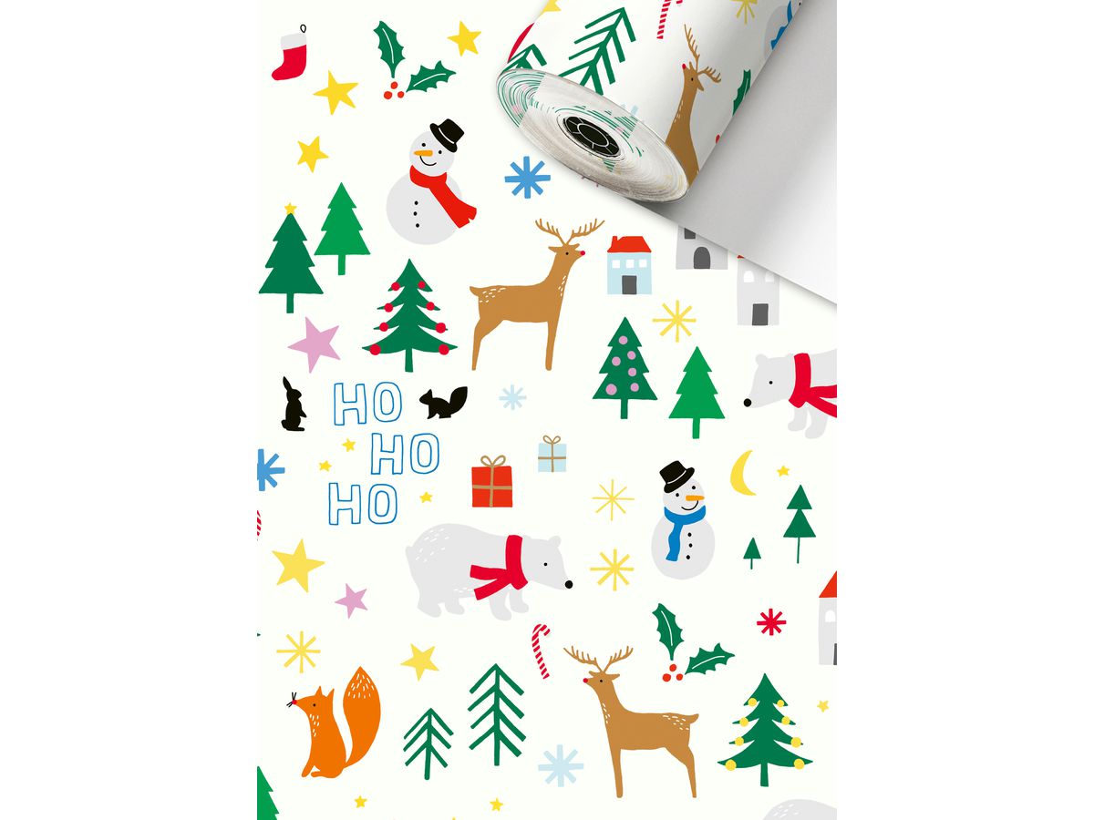 STEWO Appareil rouleaux de papier d 2521536960 Rob 0,3x250m (7630050863947)