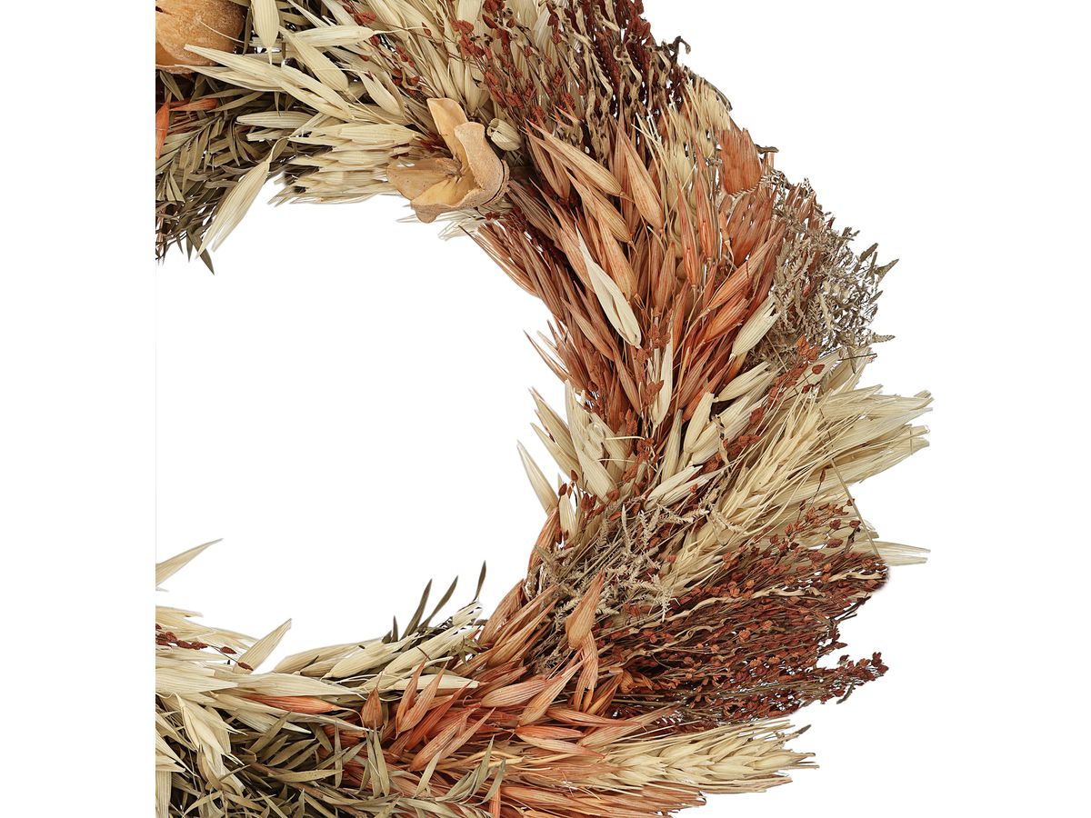 EGLO Trockenblume Ø25cm 428052 braun (9008606258758)