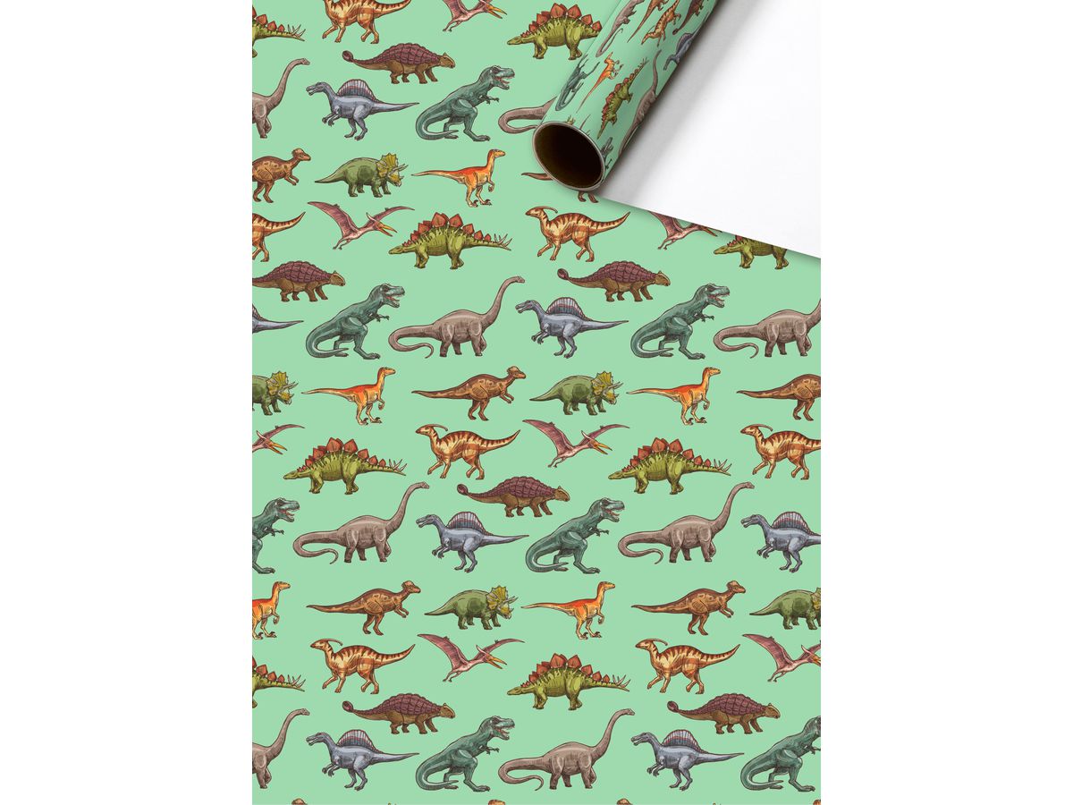 STEWO Papier cadeau Saurus 2528574245 70x200cm vert FSC (7630050837313)