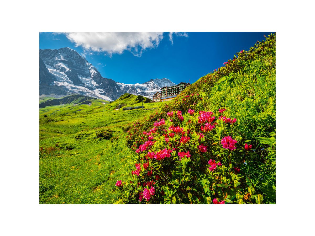 CALENDARIA Calendario 2026 9783036205168 Berner Oberland ML 31.5x23cm (9783036205168)