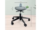 LEITZ Sitzhocker Ergo Active 6577-00-95 Mit Rollen, Balance, Schwarz (4002432136094)