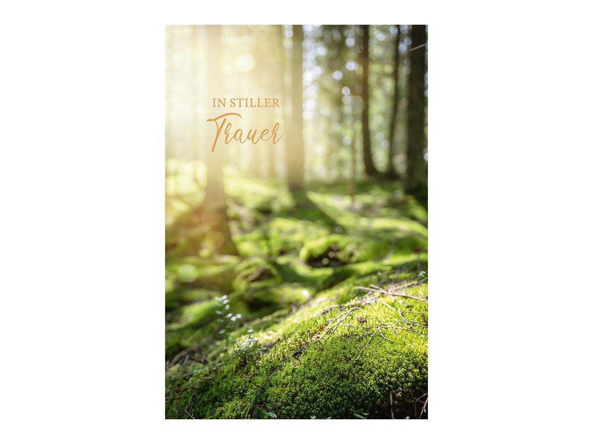 ABC Biglietto di condog. B6 51973 Foresta luce del sole (7611119216577)