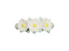 ALLC Anello da mordere 9x11x4cm TRDCWH09 Daisy (8719033869325)