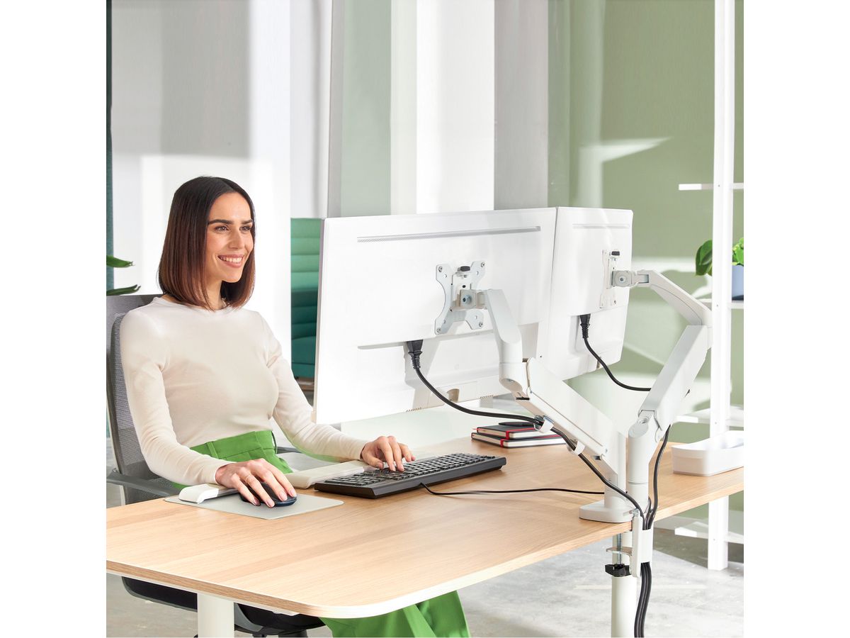 LEITZ Monitorarm Ergo 6537-00-85 Grau, dual (4002432134670)