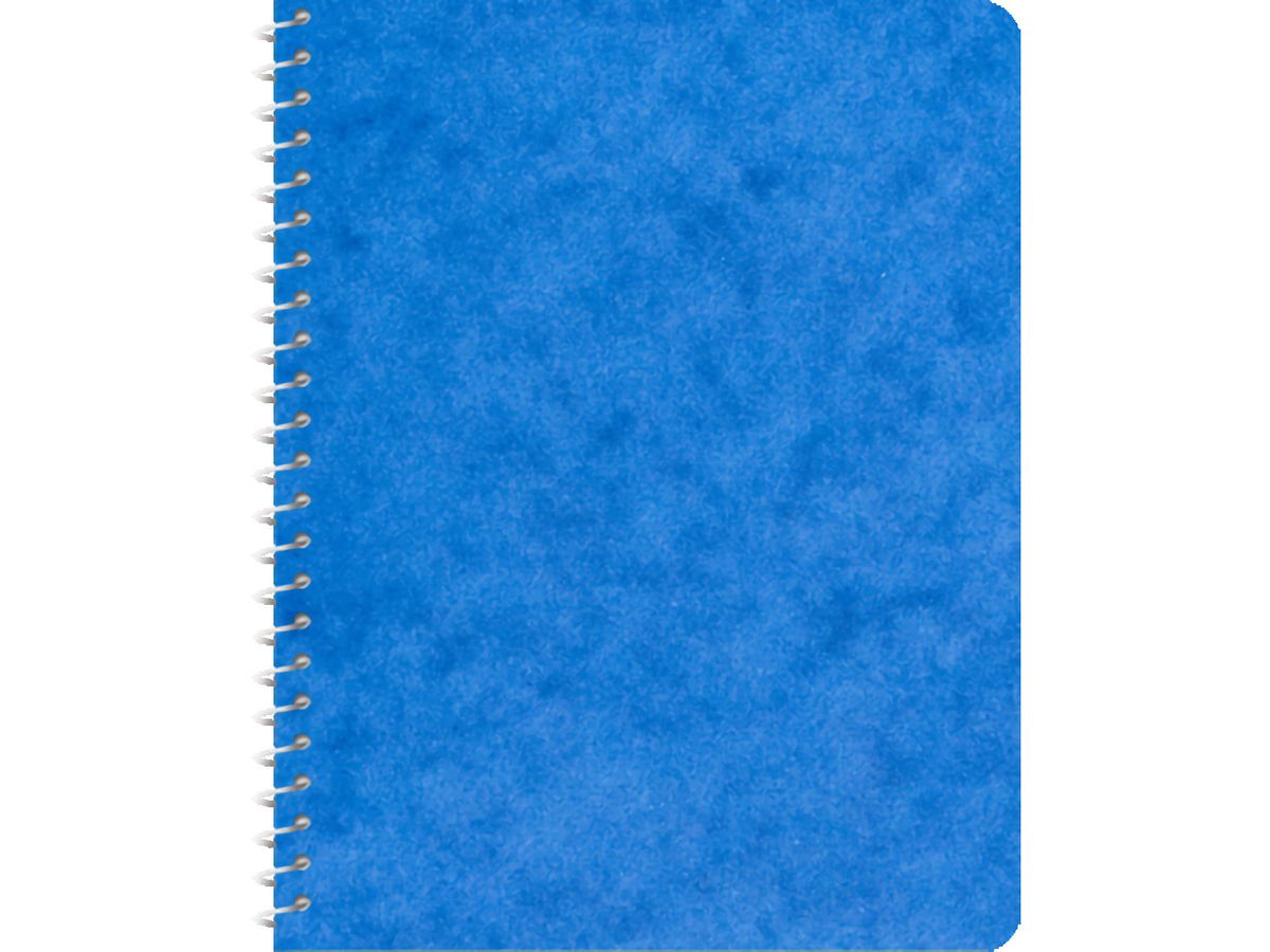 NOVOOO Spiralheft ass. 9.1×12.1cm 729776 kariert, 4mm, 70g 48 Blatt (9010729086682)