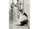 HEYE Calendrier 2026 22848+26 Wegler Cats Edition AL 49x68cn (9783756411313)
